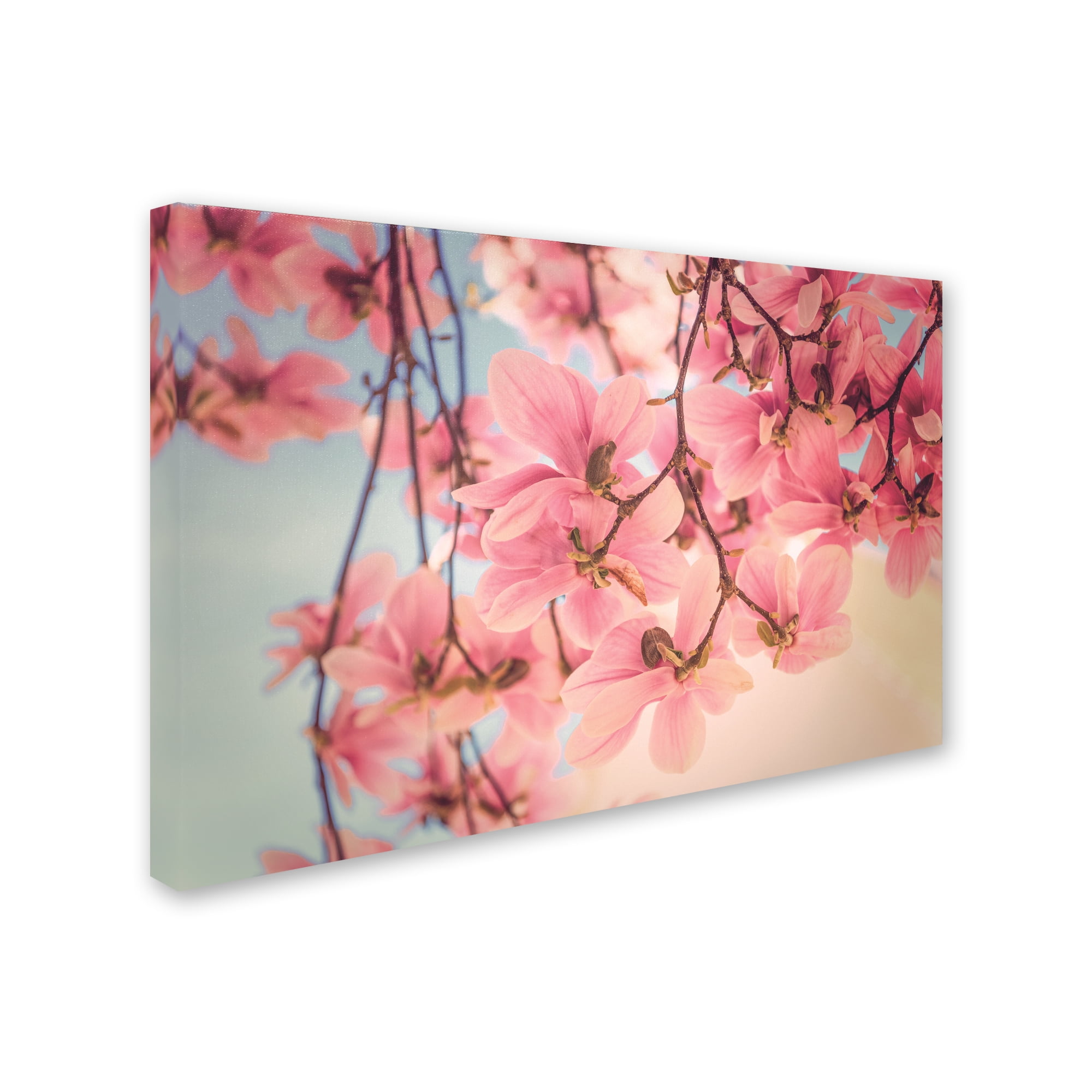 Trademark Fine Art 'Rise and Shine' Canvas Art by Philippe Sainte-Laudy