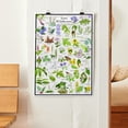 thumbnail image 3 of Iowa Wildflowers Poster - Native Woodland Blooms - Educational Science Chart of Iowa Flowers, 3 of 5