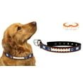 thumbnail image 2 of Collier pour Chien Indianapolis Colts - Moyen, 2 of 2