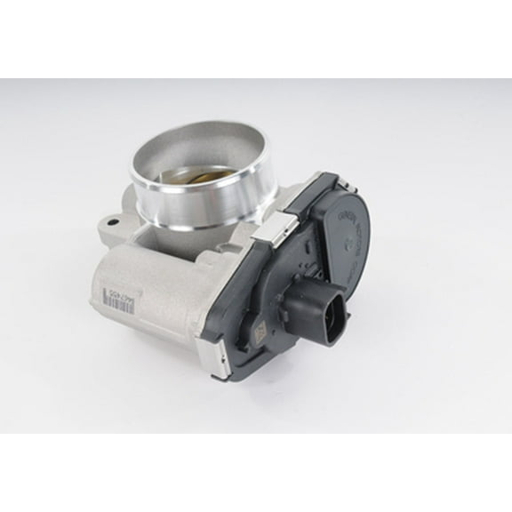 Fuel Injection Throttle Body Assembly