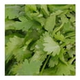thumbnail image 2 of Cilantro Criollo por pieza, 2 of 5