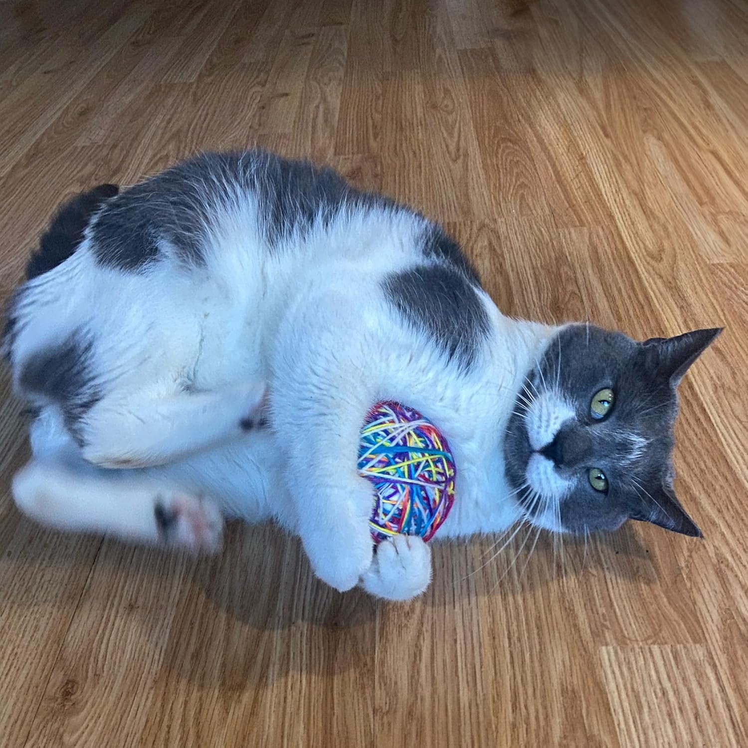 SPOT Sew Much Fun Foam & Yarn Ball Cat Toy with Rattle, No-Unravel Design, 3.5 inch, 1 Count