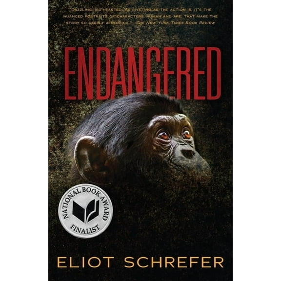 Ape Quartet Endangered: Volume 1, (Paperback)