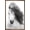 Bronze Framed Version, variant on Grayscale Horse Wall Poster, 22.375" x 34"
