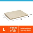 thumbnail image 3 of Vibrant Life Large Orthopedic Foam Dog Bed for Large Breeds, Large, 36" x 27", Tan, 3 of 7