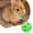 Green, variant on Automatic Pet Automatic Feeder Puzzle Food Dispenser for Small Animals Educational Slow Feeding Interactive Dispenser for Rabbits Cats Dogs Indoor Outdoor Use