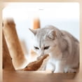 thumbnail image 2 of Juguete para gatos Spot, sonido de bofetada, hierba gatera, juguete de peluche para mascotas, simulación de cola de pez eléctrica, 2 of 6