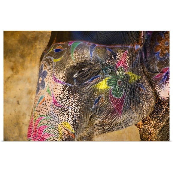 Great BIG Canvas | Rolled Scott Stulberg Poster Print entitled Painted Indian elephant, Rajistan, India