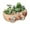 B, variant on Flowerpots with Dish Ceramic, Meaty Flower Pot Ceramic Big Flower Pot Simple Large Caliber Thick Pottery Meaty Plants Plate Rabbit Flower Pot New Styles, Flower Pots