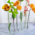 thumbnail image 2 of Los diseños interesantes incluyen jarrones de vidrio transparente para tubos de ensayo, flores para el hogar, plantas hidropónicas y decoraciones florales., 2 of 5