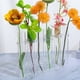 thumbnail image 5 of Los diseños interesantes incluyen jarrones de vidrio transparente para tubos de ensayo, flores para el hogar, plantas hidropónicas y decoraciones florales., 5 of 5