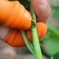thumbnail image 4 of Cortador Pulgar Silicona Separador Plantas para Recolección Jardín (cuchillo Corto S), 4 of 7