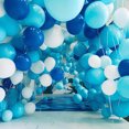thumbnail image 2 of relayinert Matte Balloon New, 2 of 9