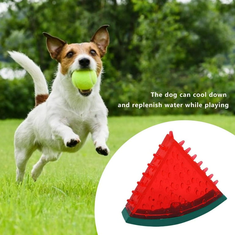 Dog Toys Summer, Water Resistant Dog Toy