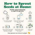 thumbnail image 6 of Spicy Mix of Sprouting Seeds, 1 Pound — Sproutable, Kosher, Raw, Vegan — by Food to Live, 6 of 7