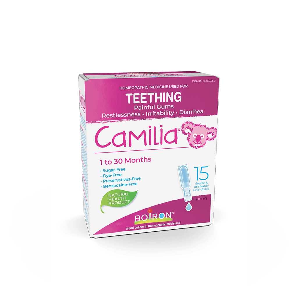 D Kohl Frisch Camilia Dents Walmart Canada