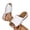Black, variant on ZACPNCV Mens Plus Size Flip Flops Non Slip Thong Sandals Comfort Beach Slides Summer New