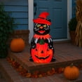 thumbnail image 2 of Mr. Halloween 18in Outdoor Cat Lit Blow Mold, 2 of 5