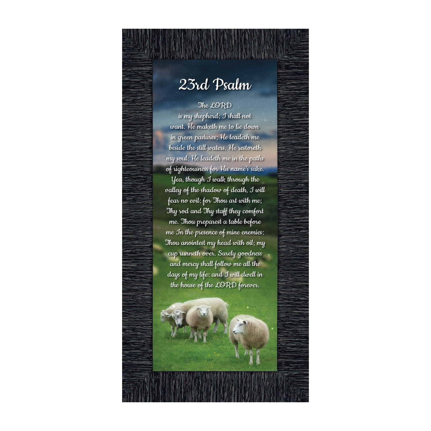 23rd Psalm, Bible Verse from Psalm, 4x10, 7307 - Walmart.com