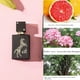 thumbnail image 5 of Perfumes para caballero 30ml Perfume de caballo árabe para hombre Perfume Middle Dubai Premium, 5 of 5
