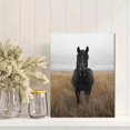 thumbnail image 2 of Qisvanset 12x16 Inch 2D Flat Framed Canvas Art, Majestic Black Horse Rustic Farmhouse Western Nature Landscape Wall Art, 2 of 5