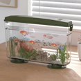 thumbnail image 4 of Aquarium / Réservoir Rectangulaire / Vue en Degrés Aquarium / Poisson Plat Aquarium, Poisson, 4 of 5