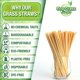 thumbnail image 4 of 300 pajitas de trigo para bebidas, biodegradables, ecológicas, a granel, suministros para fiestas, 4 of 5