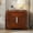Dark Brown, variant on Christopher Knight Home Mid-Century Modern Nightstand with 2 Drawers, Wood Frame Bedside Table, Black