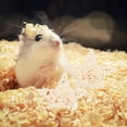 thumbnail image 3 of Shisuyan 4Pcs Pentagram Rattan Rabbit Toys Creative Food Leakage Toy Funny Pet Bite Toy Hamster Playing Toy Dog Teeth Cleaning Toy Star Rattan Toy Educational Toy for Small Pets, 3 of 9