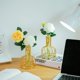 thumbnail image 2 of Juego de mini jarrones de cristal de 2 piezas jarrones pequeños de oro para decoración de mesa florero moderno Bud Hydroponic Feliz Sencillez, 2 of 5