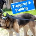 thumbnail image 4 of BESTSKY Outdoor Bungee Tug Toy, Dog Toy Hanging from Tree for Small to Large Dogs, Interactive Exercise Play Cord & Tether with Chew Rope Toy, 4 of 7