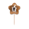 thumbnail image 1 of Nariz de perro Selección de pastelitos Star lable Flag en palillos de dientes, 1 of 3