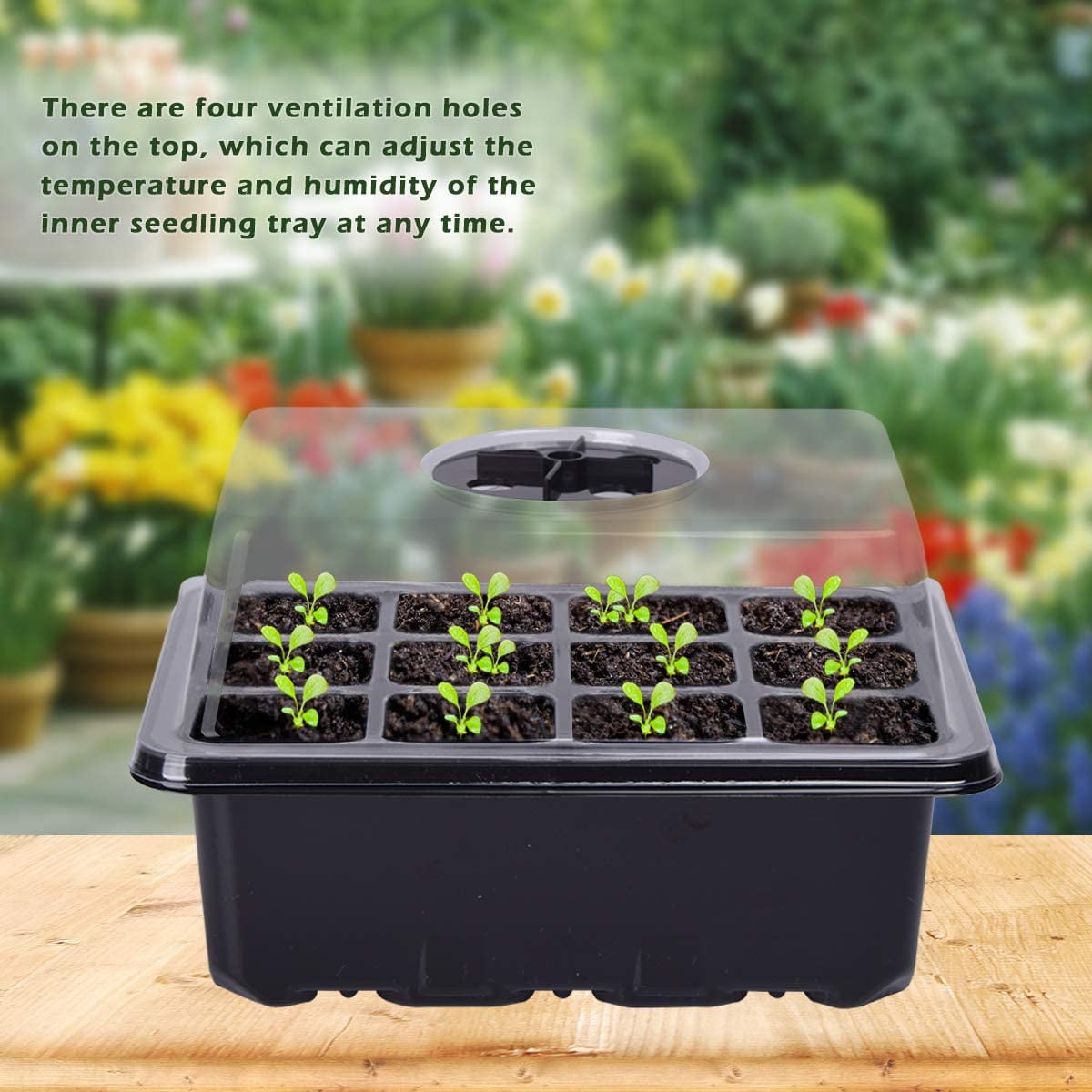 12-Pack Seed Starter Trays, 144-Cell Seed Starter Kit with Humidity Dome, Flat Reusable Plant Germination Trays with Drain Hole, Green Propagation Tra