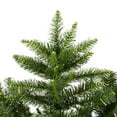 thumbnail image 2 of Vickerman 7.5' Camdon Fir Slim Artificial Christmas Tree, Unlit, 2 of 5