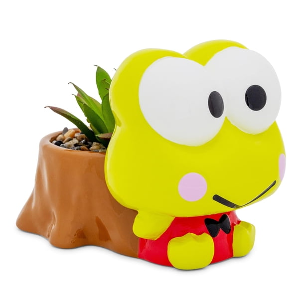 Mini maceta plateada con tocón de búfalo Sanrio Keroppi con suculentas