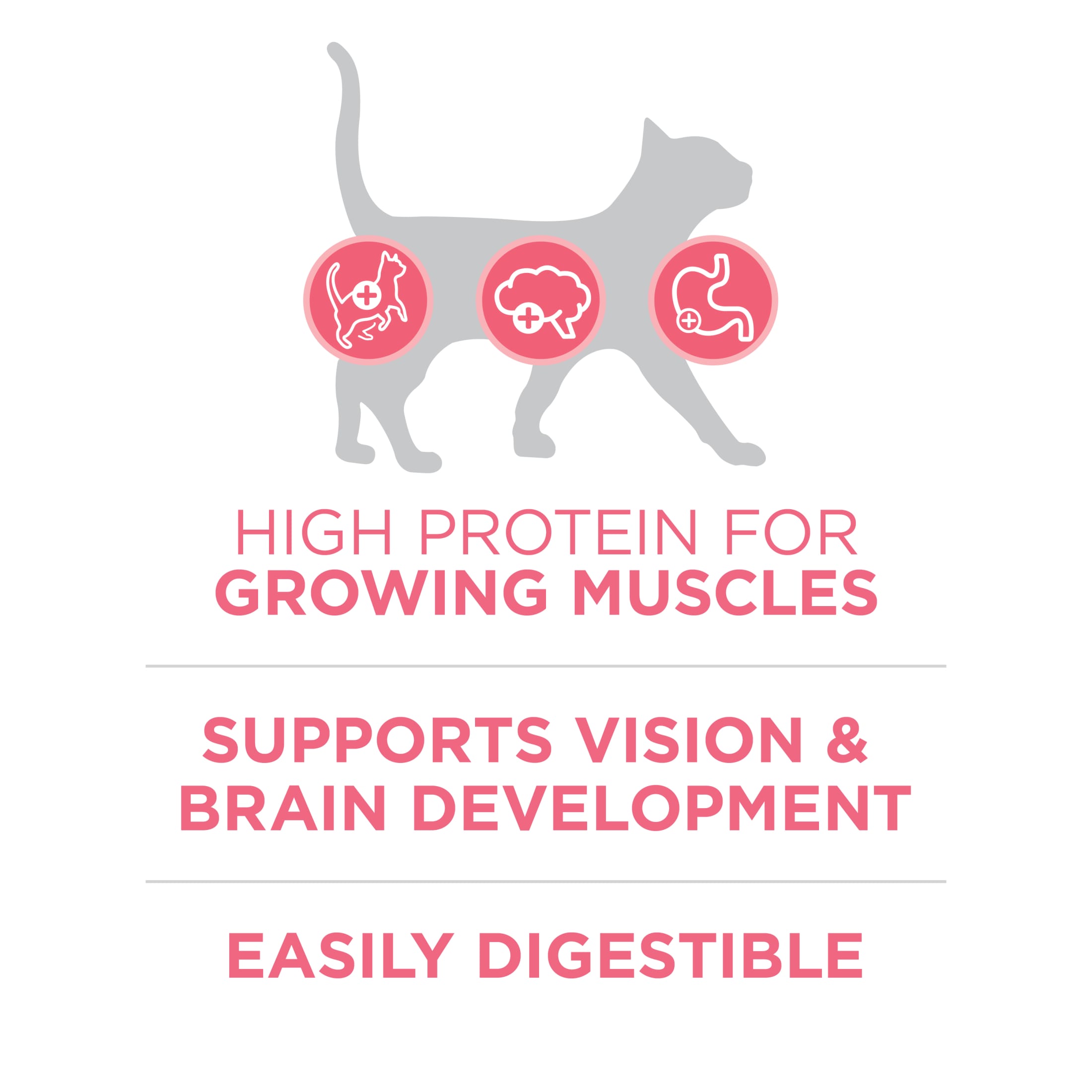 Purina ONE Plus Healthy Kitten Formula Dry Cat Food photo 5