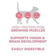 (2 pack) Purina ONE Plus, Healthy Kitten Formula, Dry Kitten Food, Chicken, 16 lb Bag
