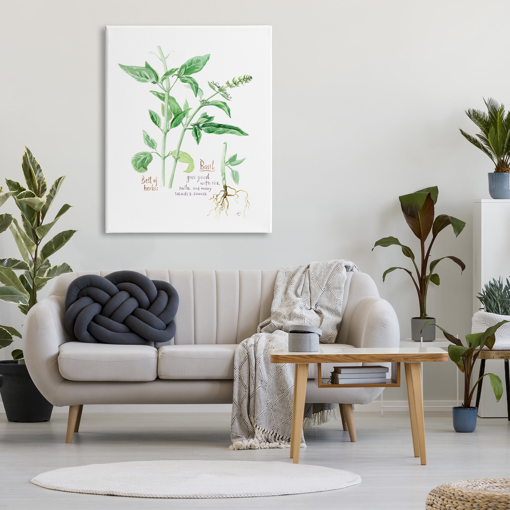 Stupell Industries Basil Plant Best Of Herbs Watercolor Garden Greens Food & Beverage Painting Gallery Wrapped Canvas Print Wall Art, 36 x 48