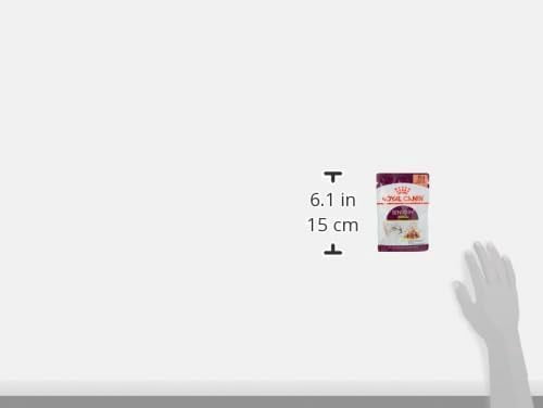 Royal Canin Sensory Smell Cat Wet Food 12x85g CIG