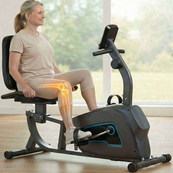 Naipo Exercise Bike Indoor Recumbent  Exercise Bike Stationary with Adjustable Seat and 8 Resistance Level Seat Height Adjustment