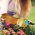 thumbnail image 5 of Long Gardening Gloves for Women Thorn Proof,Rose Pruning Cowhide Leather Garden Gloves for Cactus, Rose and Blackberry, 5 of 5
