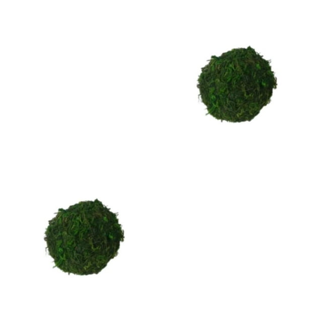 Justharion Colorful Additions Small Animals Play Balls For Endless Fun Chew Grasses Balls Rolling Chew Toys Moss ball 7 cm 2Set