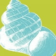 thumbnail image 3 of Harbick, N 15x15 Black Modern Framed Museum Art Print Titled - Graphic Shell III, 3 of 5