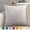 Light Gray, variant on Djiypn Velvet Throw Pillow 18x18 Inch, 1 Pack Super Soft Decorative Square Cushion Modern Luxury Home Decor for Sofa, Couch, Bed, Chair, Black