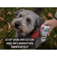 thumbnail image 7 of Gou Gou Pets Holistic Natural Derived Herbal Pet Care DermaSkin Dermatitis Ointment for Dogs, Cats and Horses: Relieves Rash, Crusting, Dry Skin, Skin Problems and Skin Conditions - Made in USA - 2 oz, 7 of 7