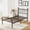 Black, variant on Gianna Bed Frame Platform Style with Solid Wood Slat Support, Durable Foundation for Mattress, Full