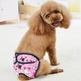 thumbnail image 4 of Pantalones fisiológicos para perros XS-XXL, pañales sanitarios lavables, pantalones cortos para perros hembras, bragas, ropa interior para la menstruación, calzoncillos, mono para perros, 4 of 5