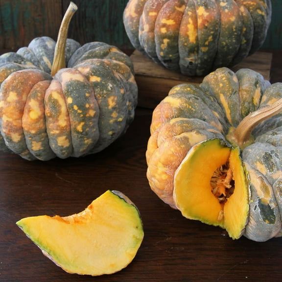 Chirimen Squash Seed 4 Gram ~25 Seeds – Heirloom Yokohama Type – Cucurbita moschata – Bronze-Orange Skin, Sweet Orange Flesh – Fruits – Non-GMO, Prolific Vines, 91 Days – Musser 1922 Variety
