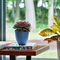 thumbnail image 2 of Bloem Dayton 6" Plastic Planter - 100% Recycled Plastic Indoor/Outdoor Garden Pot with Drainage Holes & Saucer Tray, Ocean Blue, 2 of 6
