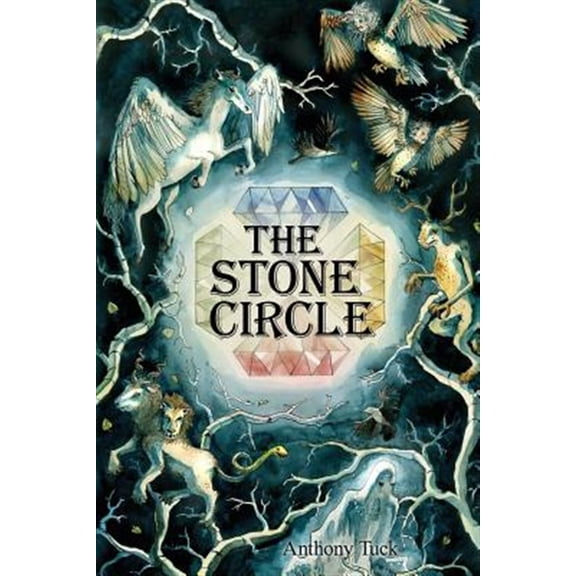 Pre-Owned The Stone Circle Paperback